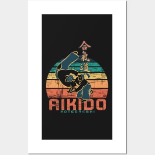 Aikido Women Retro Style Posters and Art